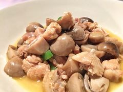 土鸡-芙蓉堂(武汉天地店)