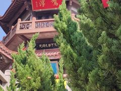 -林屋梅海青梅保护基地