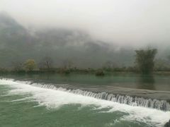 -遇龙河大樟树农家乐