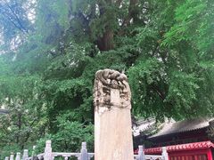 -潭柘寺景区