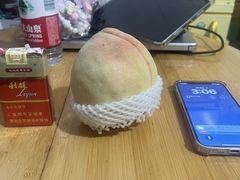 -老袁家蜜桃农场·阳山水蜜桃