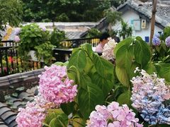 -院8里·少城记忆老川菜(宽窄巷子店)