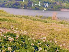 -南京市无想山景区