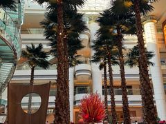 -威斯汀舞台餐厅