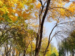 -元大都城垣遗址公园