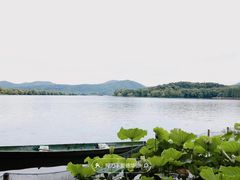 -西湖游船