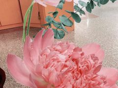 -大洋家·精品潮汕菜·生腌砂锅粥(天河东路店)