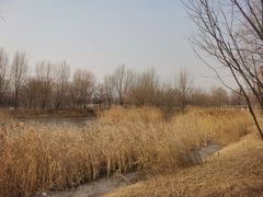 -淇河国家湿地公园