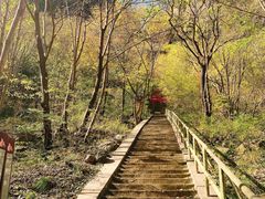 -孤山寨风景区