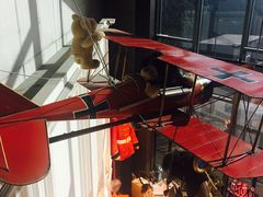 -济州岛泰迪熊博物馆