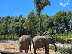 -鄂尔多斯野生动物园