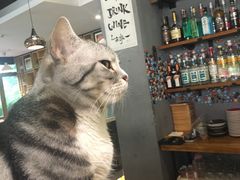 -咖法森林·咖啡  酒吧(天河店)