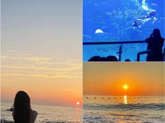 -巧克力渔家.小船海鲜胶东菜(万平口店)