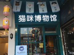 -猫咪博物馆(顶澳仔猫街店)