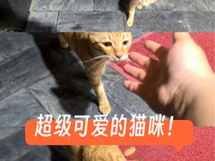 -F518时尚创意园
