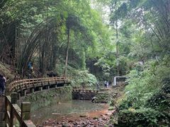 -凤栖山