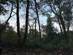 -平湖九龙山旅游度假区