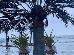 -北戴河碧螺塔海上酒吧公园