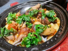 本港海螺焗走地鸡-虹潮荟·餐桌上的美食地理(太阳宫店)