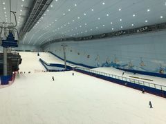 -哈尔滨热雪奇迹