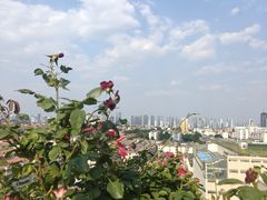 -泰盛楼顶摩天轮