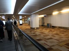 -英迪拉·甘地国际机场