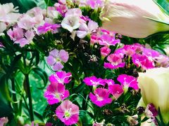 -艾加柒克蛋糕茶歇甜品台(春熙路店)