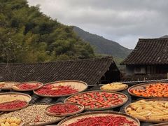-林坑古村落