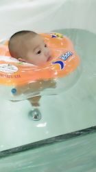 点击看大图 -鱼乐贝贝婴幼儿水育馆(高桥红坊店)