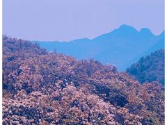 -乌蒙大草原