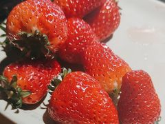 -梨花自助烤肉(乐宾店)