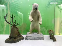 -国家自然博物馆