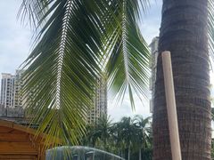 -亚马逊丛林水乐园