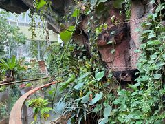 -正佳雨林生态植物园