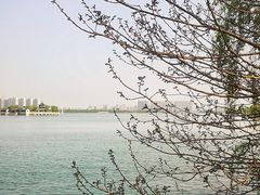 -苏州上方山国家森林公园