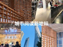 -朵云书院(滴水湖店)
