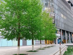 -中央广播电视总台(光华路办公区)