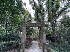 -上海佘山国家森林公园天马山园