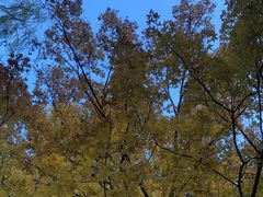 -元大都城垣遗址公园