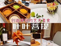 -叶叶菩提·晋福宫