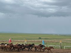 -呼伦贝尔大草原巴尔虎蒙古部落民俗旅游度假景区