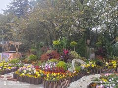 -南山植物园