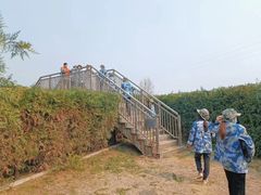 -亲兄弟真人CS团建拓展基地