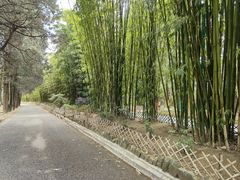 -蝴蝶泉公园