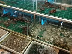 -拉威海鲜市场