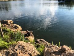 -长春市南湖公园