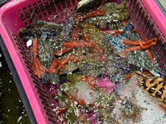 -众味海鲜大排档·活海鲜·潮汕味(南澳店)