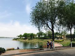 景点-丁香湖公园