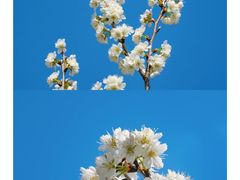 -国际非物质文化遗产博览园