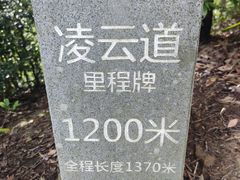 -梧桐山风景名胜区